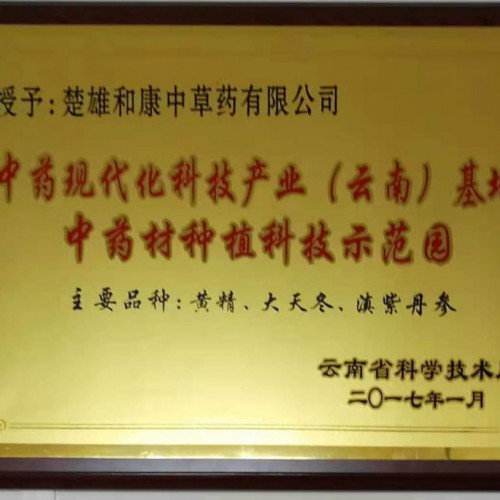 楚雄双柏续断苗图片 续断长什么样？ 续断施肥