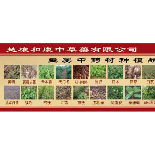 楚雄姚安续断育苗 续断采收 续断施肥