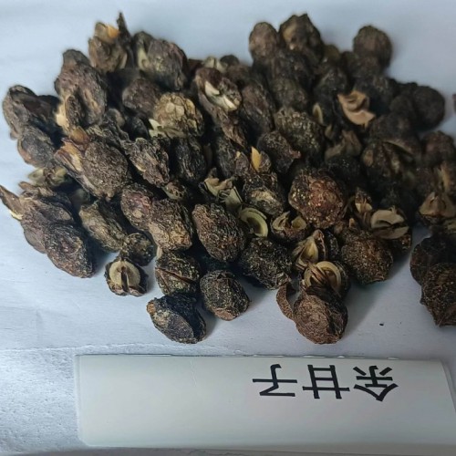 大理大理余甘子产量怎么样 余甘子产区 余甘子功效