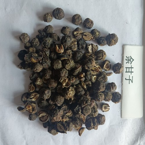 玉溪澄江余甘子图片 余甘子产区 余甘子功效