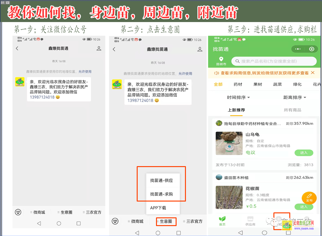 文山广东果苗批发市场地址| 云南省基地树苗批发 云南种什么树苗好