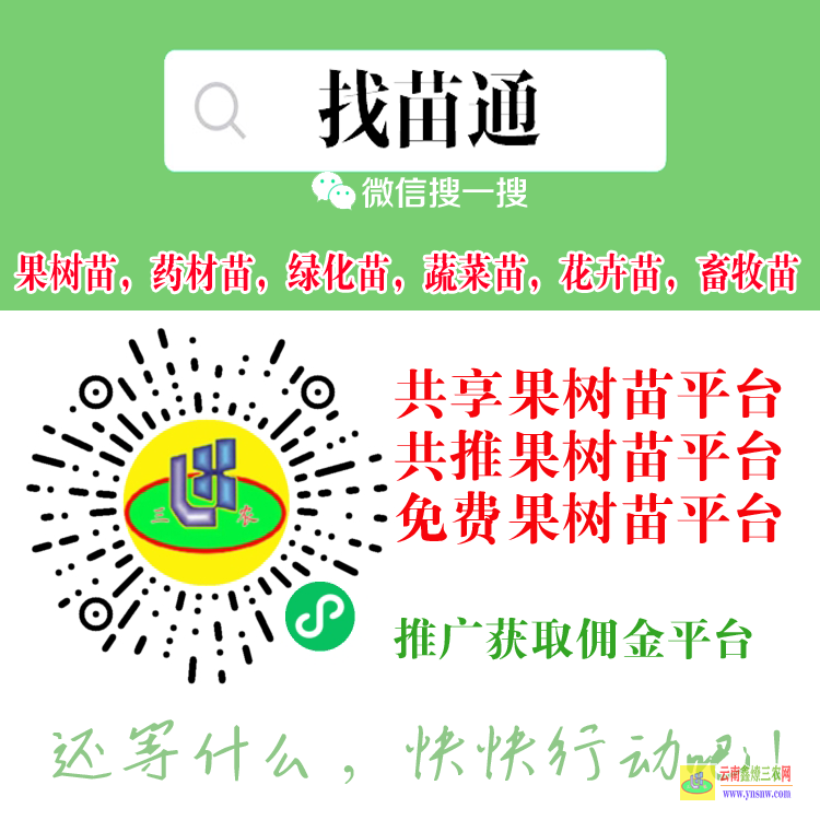 德宏果树苗批发大市场在哪里| 网上买的果树苗能活吗 果树苗木价格表