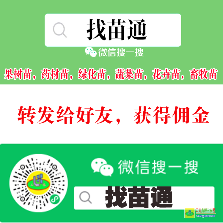 德宏果树苗批发大市场在哪里| 网上买的果树苗能活吗 果树苗木价格表