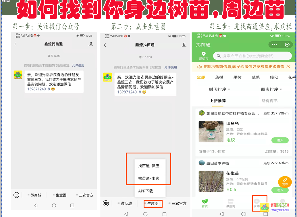玉溪果树苗发新芽后就枯萎了| 果树苗什么时候栽植是的 果树苗购销合同
