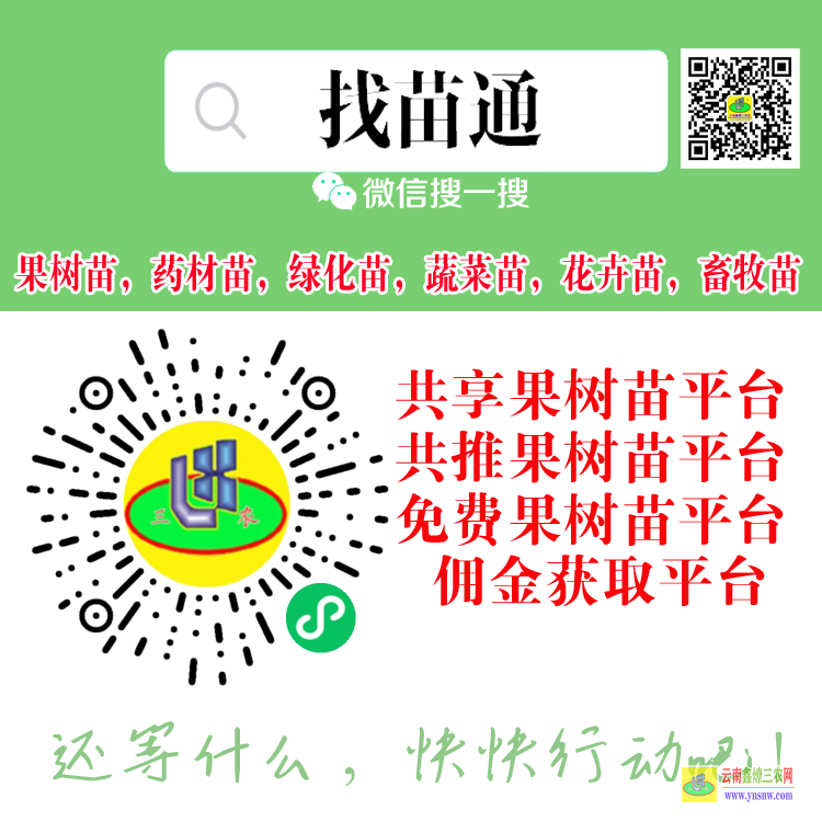 德宏果树苗什么时候栽植好| 果树苗批发网 果树苗木