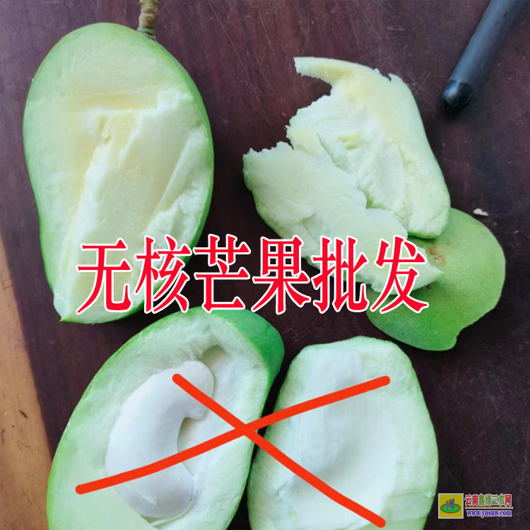 广东攀枝花芒果批发| 水果批发市场 西瓜批发
