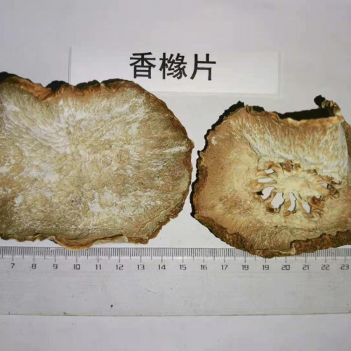 2022年香橼片的市场行情