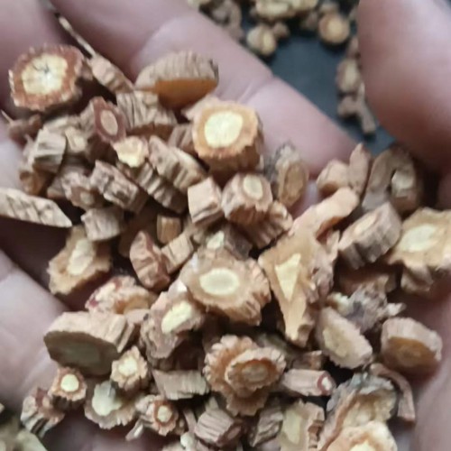 花芸豆供应