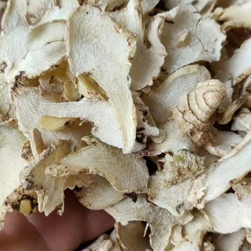 德阳白芨干品多少钱一公斤| 白及干药价格 白芨干品保存