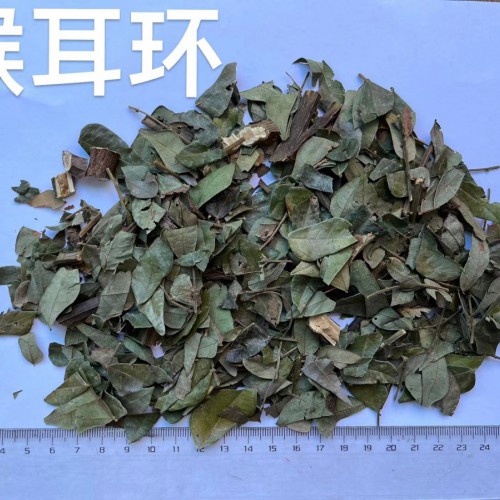 猴耳环的图片与功效
