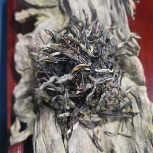 2023清明前原生态新茶500g