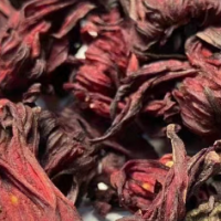 求购临沧保山周边的玫瑰茄