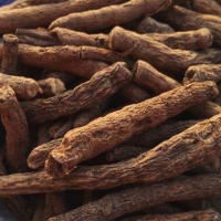 大量求购仙茅鲜根