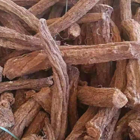 求购丹参干货