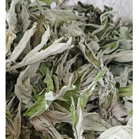 求购艾草干货