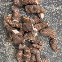 求购重楼干货3吨