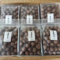 怎么种坚果苗   坚果苗怎么剪   坚果苗怎么栽