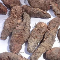 长期求购草血竭