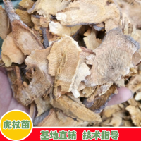 求购虎杖片，投料陈皮个子