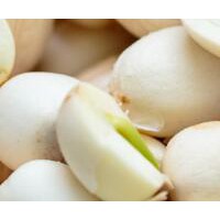 求购白莲子，数量30吨。要求1.2cm以上水泡莲，通芯率百分之95以上