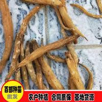 求购红藤百部鲜货