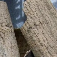 求购杜仲青皮卷货20吨