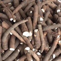 求购3、4级白芍个20吨