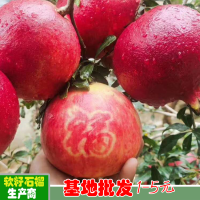 求购突尼斯软籽石榴