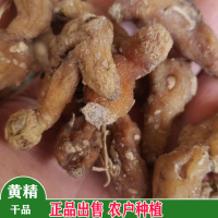采购韭菜子  黄精 鸡内金  女贞子  地丁  麦冬  蜜蒙花
