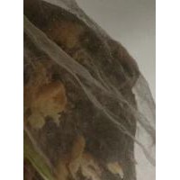 求购老火腿