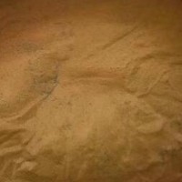 求购海金沙新货