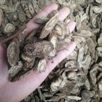 求购肉独活，木香统货