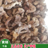大量收购黄精鲜货，葛根鲜货，栀子鲜货