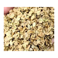 大量求购荷树籽