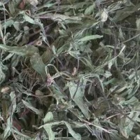 求购辽细辛漠子3吨