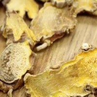 求购鲜射干、鲜白鲜皮、鲜白术