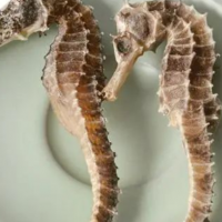 求购中药材小海马