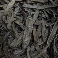 大量求购菲牛蛭干货，要求有纹路的，药厂采购八百公斤