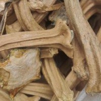 ?大量求购南瓜蒂