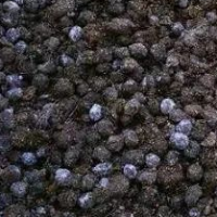 ?大量求购羊粪