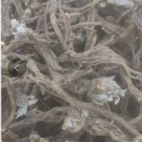 求购白头翁种籽10斤
