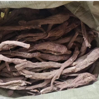 求购当归切片货（中大货）5吨