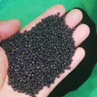 出售芦笋种子，紫苏种子，四棱豆种子，玛卡种子，蛇瓜种子，拇指西瓜种子