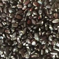出售优质八月瓜籽，拇指西瓜种子