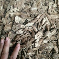 木香的主产地在哪里?有什么功效与作用