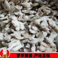云南小黄姜粉价格/干姜丝生产销售-罗平县板桥镇/云南小黄姜