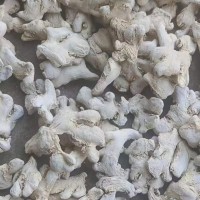 云南干姜片产地在哪里呢 云南的干姜片多少钱一吨 云南干姜片老干姜片