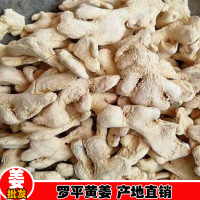 小黄姜，云南小黄姜，鲜姜，生姜鲜姜批发-曲靖小黄姜销售/云南罗平生姜厂家