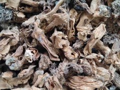 蒜薹(苗)的营养成分与作用