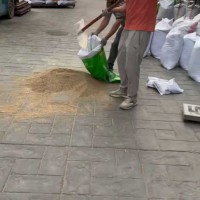 批发零售各类种子|诚信经营 只卖新种子 花卉种子